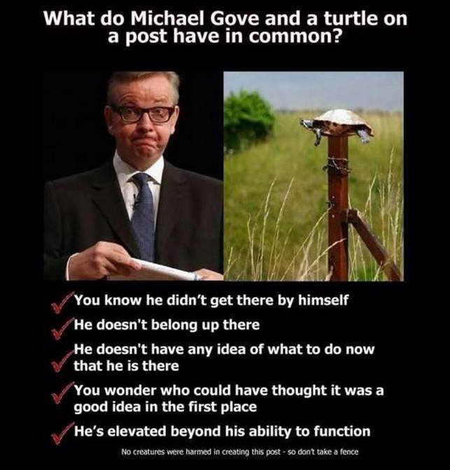 Michael Gove vs Turtle on a post. 